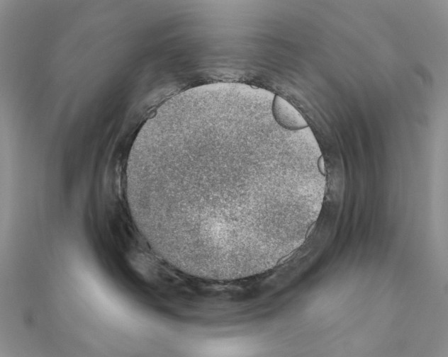 X0000110980334200907310954