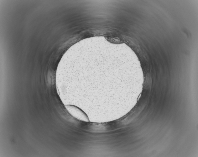 X0000110980335200907310954
