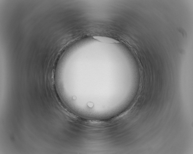 X0000110980336200907310954