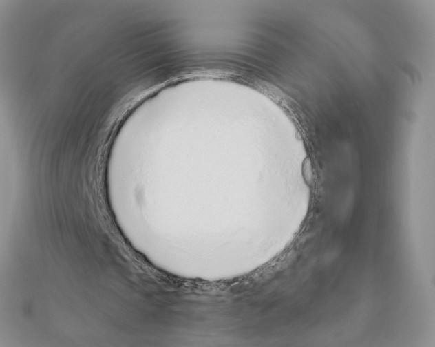 X0000110980337200907310954