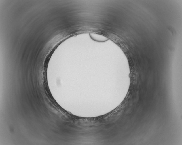 X0000110980338200907310954