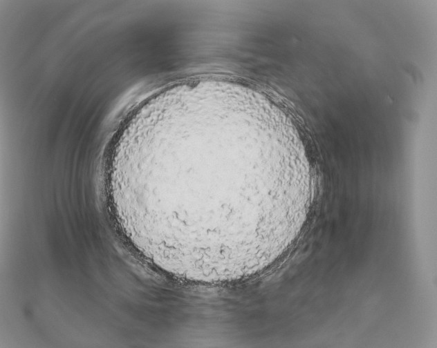X0000110980339200907310954