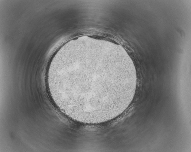 X0000110980341200907310954