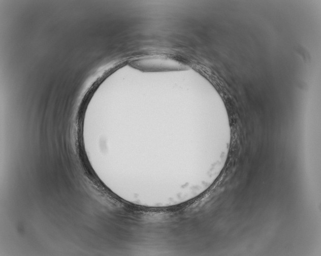 X0000110980342200907310954