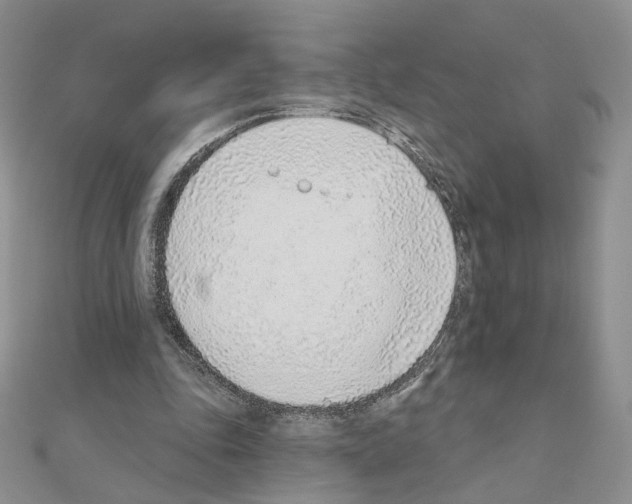 X0000110980343200907310954