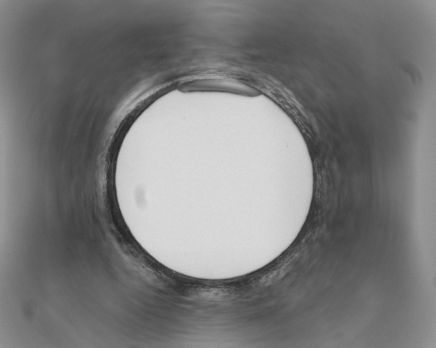 X0000110980344200907310954