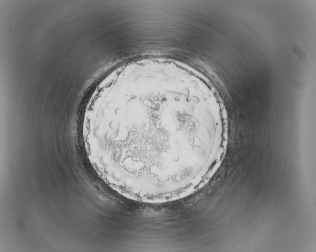 X0000110980346200907310954