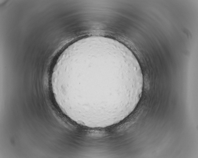 X0000110980347200907310954