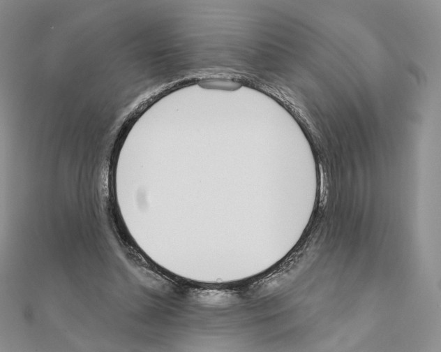 X0000110980348200907310954