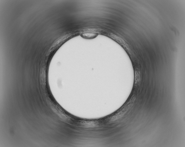 X0000110980349200907310954