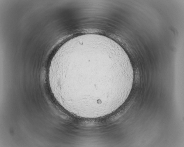 X0000110980351200907310954