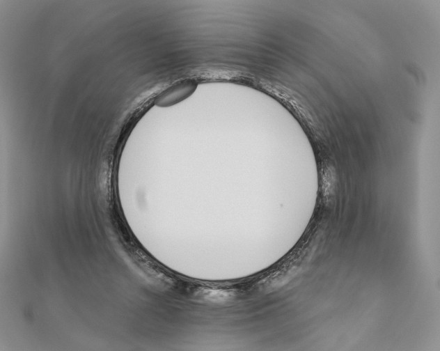 X0000110980352200907310954