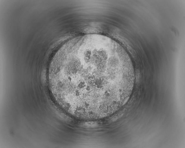 X0000110980353200907310954