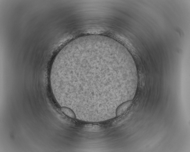 X0000110980354200907310954