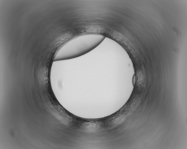 X0000110980356200907310954