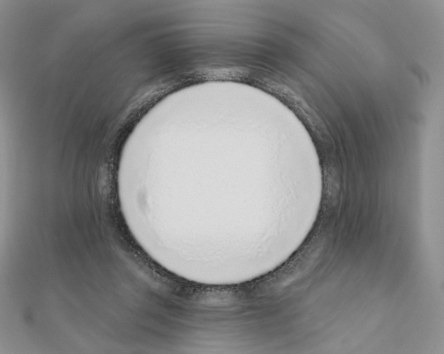 X0000110980357200907310954
