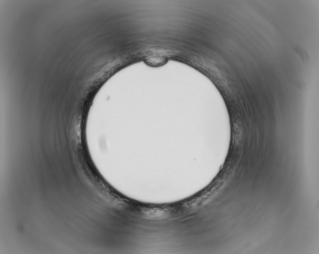 X0000110980358200907310954