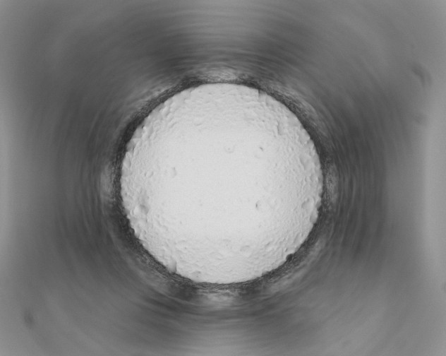 X0000110980359200907310954