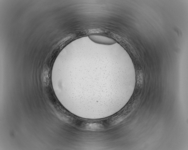 X0000110980360200907310954