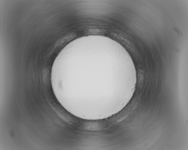 X0000110980361200907310954