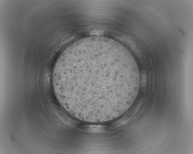 X0000110980363200907310954