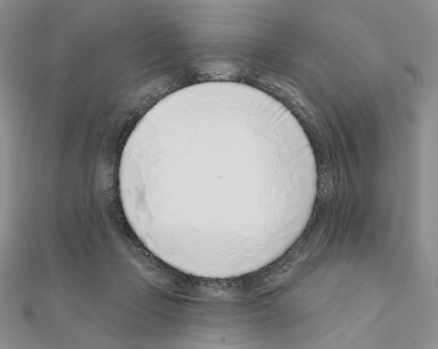 X0000110980365200907310954