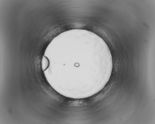 X0000110980366200907310954