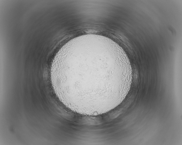 X0000110980367200907310954