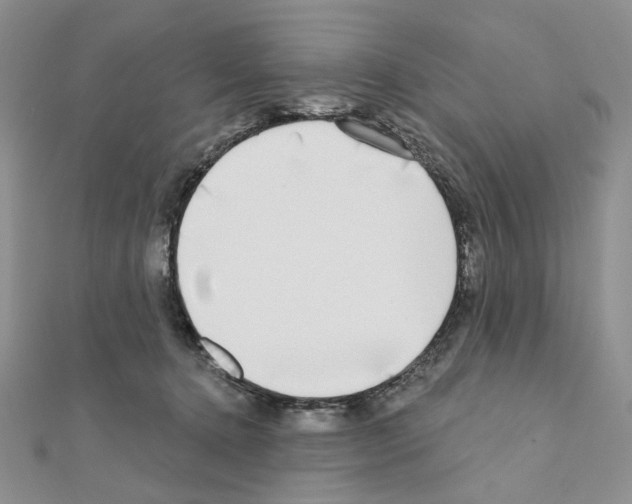X0000110980368200907310954