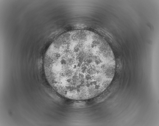 X0000110980369200907310954