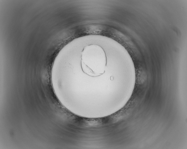 X0000110980370200907310954