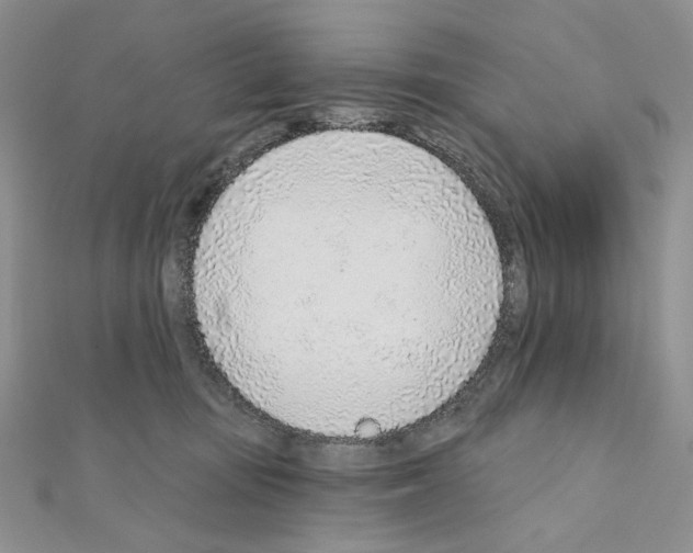 X0000110980371200907310954