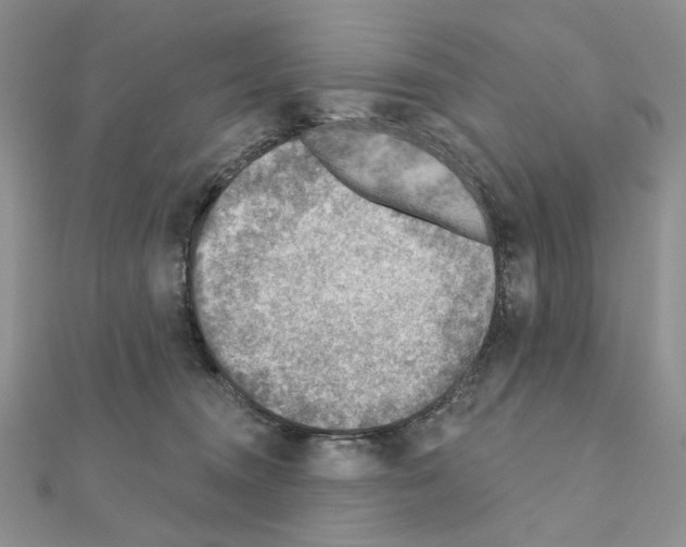 X0000110980372200907310954