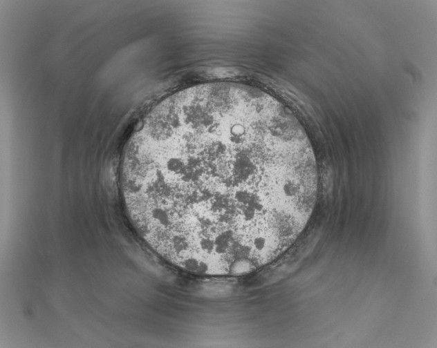 X0000110980373200907310954