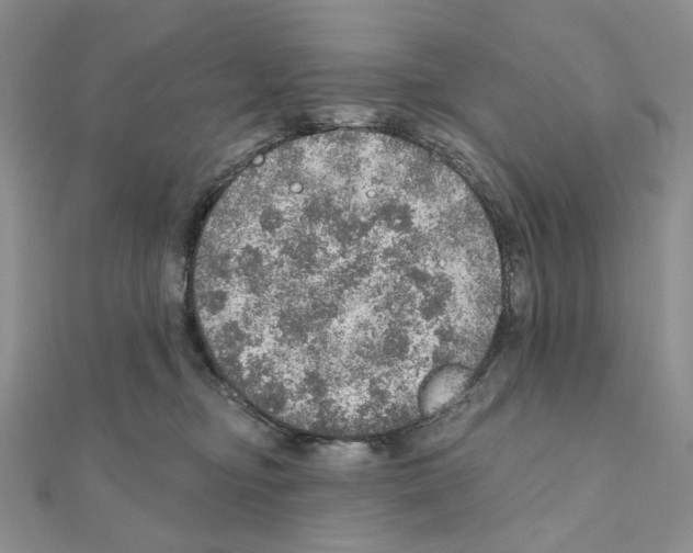 X0000110980374200907310954