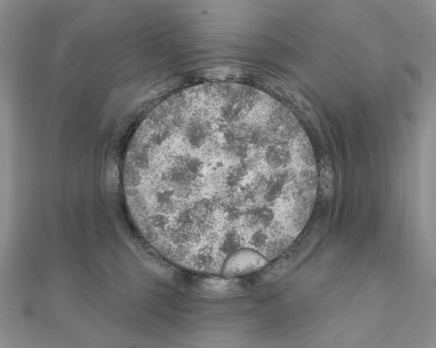 X0000110980375200907310954