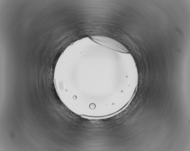 X0000110980376200907310954