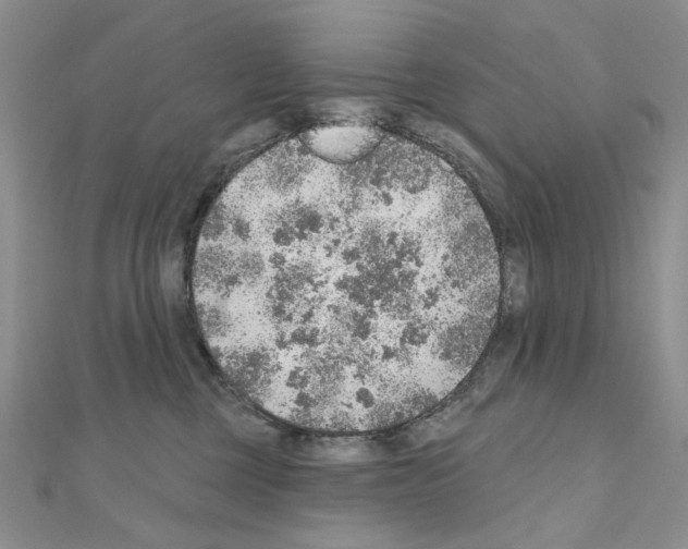 X0000110980377200907310954