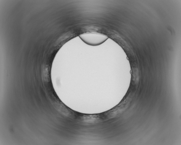 X0000110980378200907310954