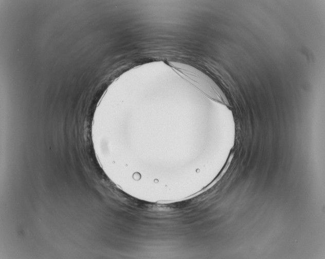 X0000110980380200907310954