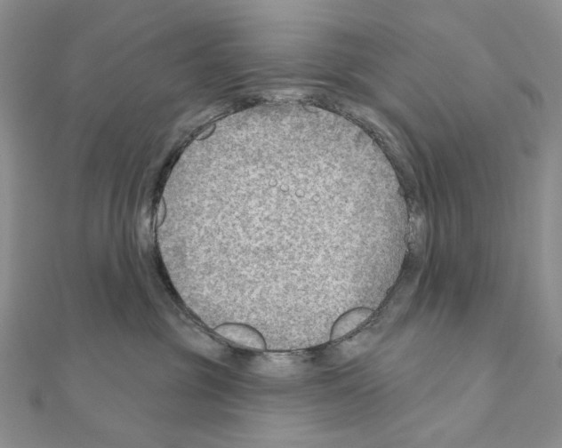 X0000110980381200907310954