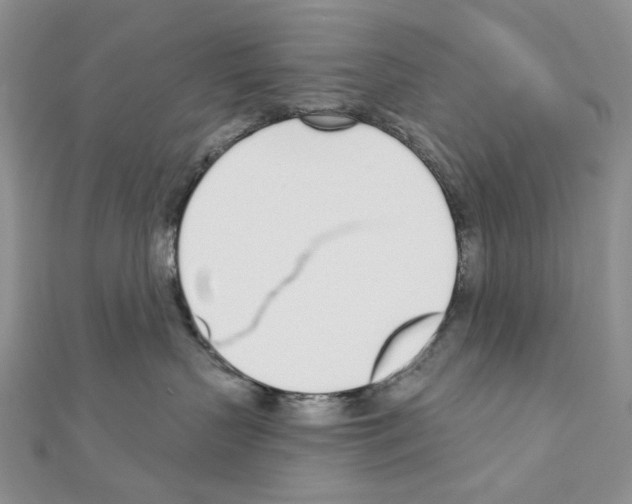 X0000110980383200907310954
