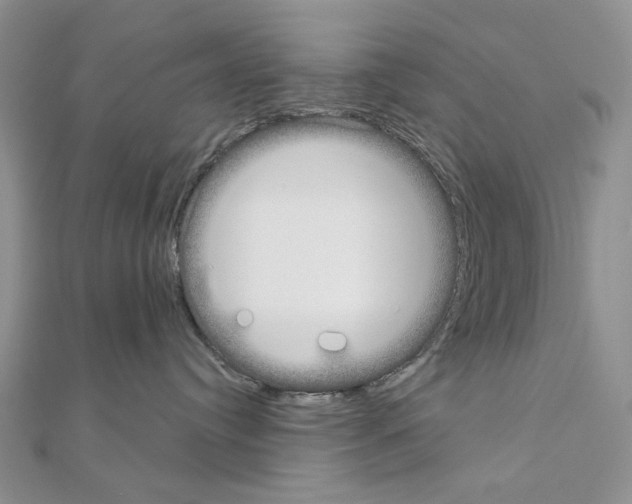 X0000110980384200907310954