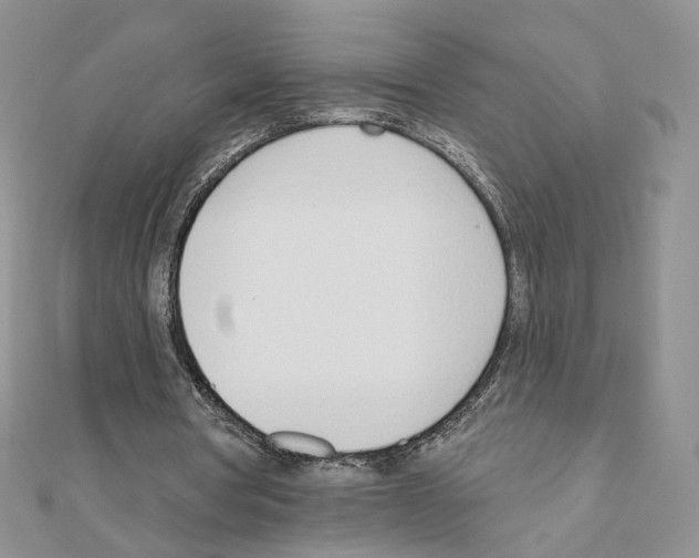 X0000110980386200907310954