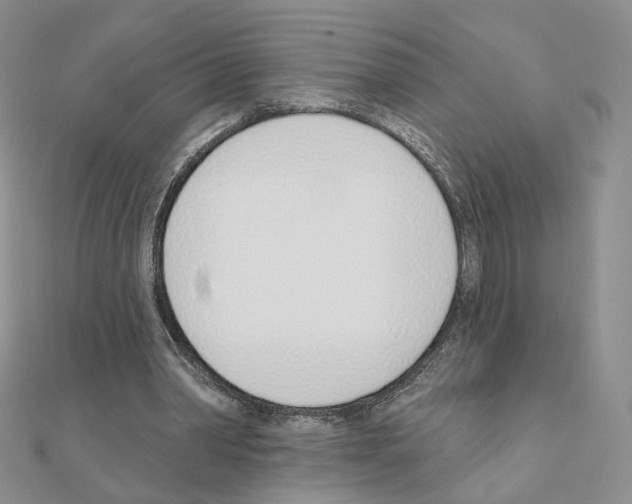 X0000110980390200907310953