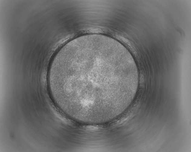 X0000110980394200907310953