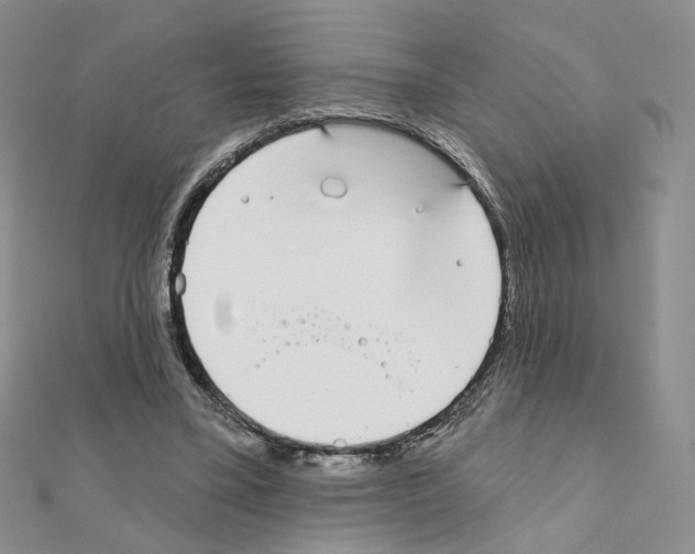 X0000110980395200907310953