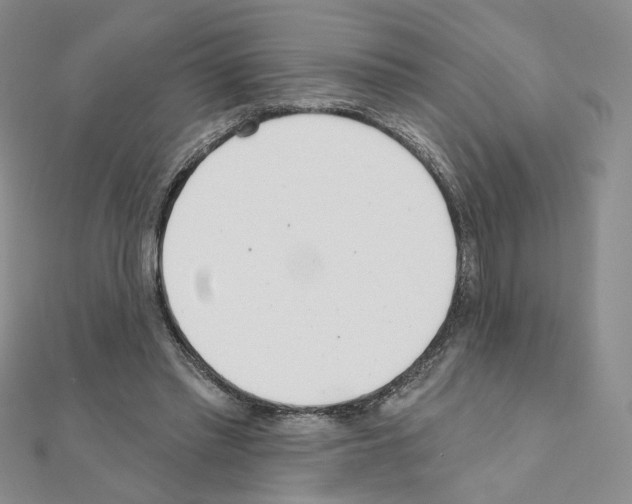 X0000110980397200907310953