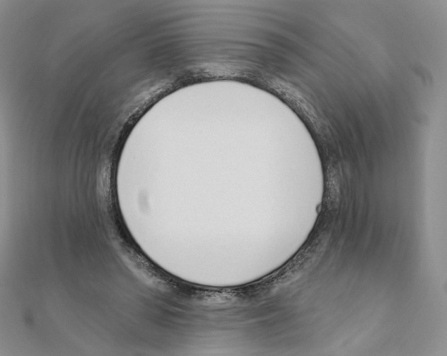 X0000110980398200907310953