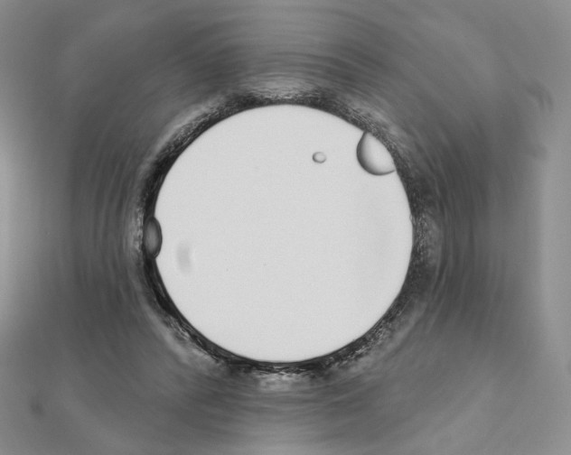 X0000110980400200907310953